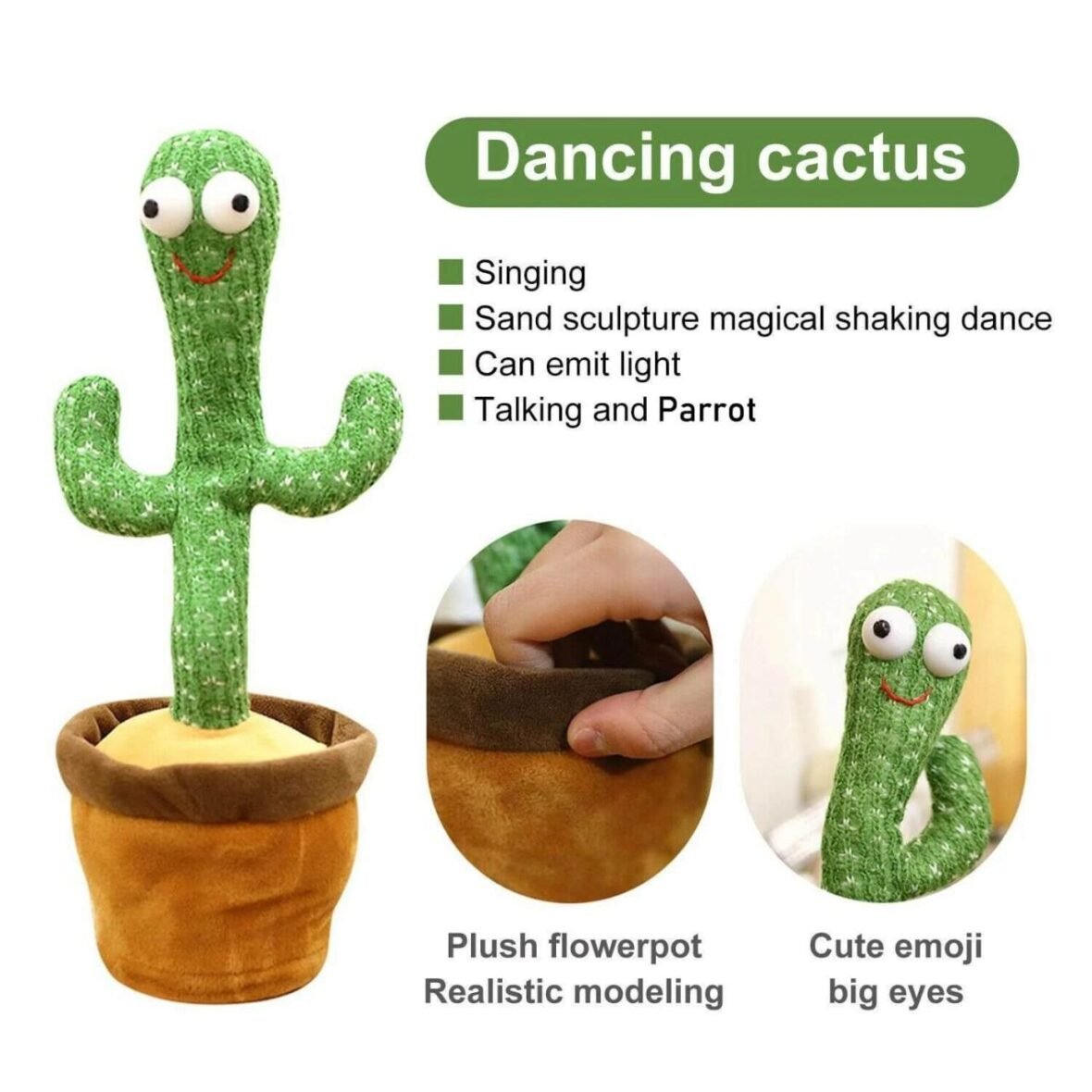 Dancing Cactus-02